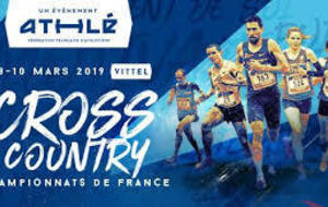 Les France de cross -  MONTAUBAN